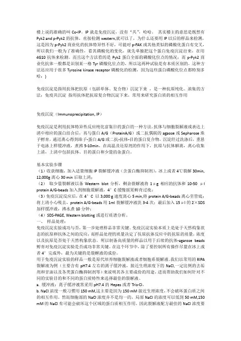 免疫沉淀IP 免疫共沉淀coIP 染色体免疫沉淀ChIP