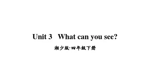 四年级英语下册课件-Unit 3 What can you see（8）-湘少版