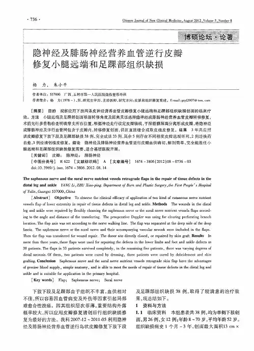 隐神经及腓肠神经营养血管逆行皮瓣修复小腿远端和足踝部组织缺损