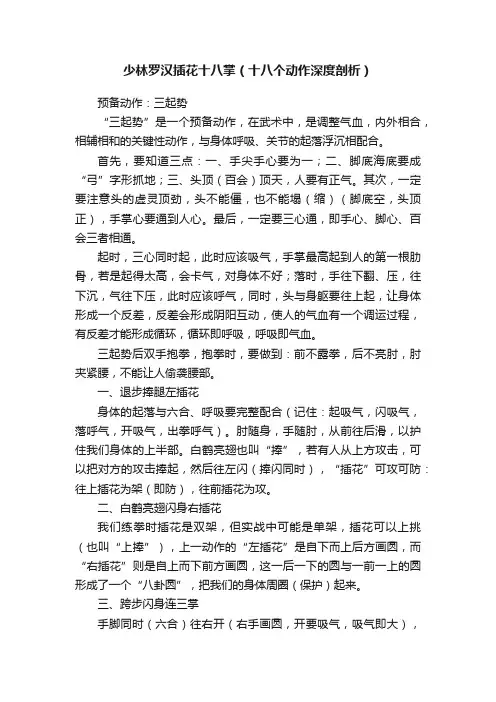 少林罗汉插花十八掌（十八个动作深度剖析）