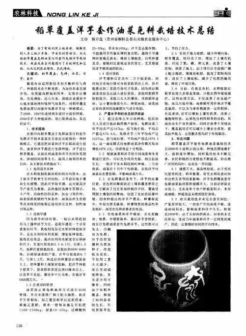 稻草覆盖洋芋套作油菜免耕栽培技术总结