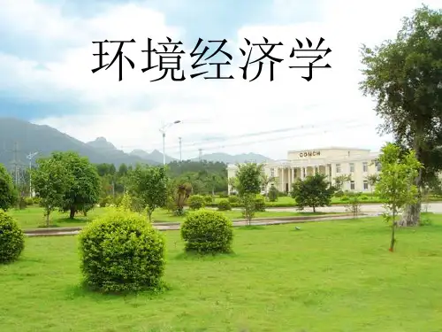 环境经济学-清洁生产