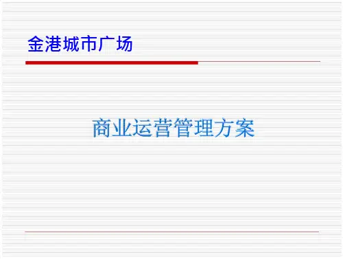 商业运营管理公司运营方案