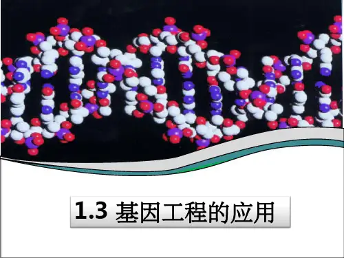 人教版教学课件13帅老衲出品基因工程的应用
