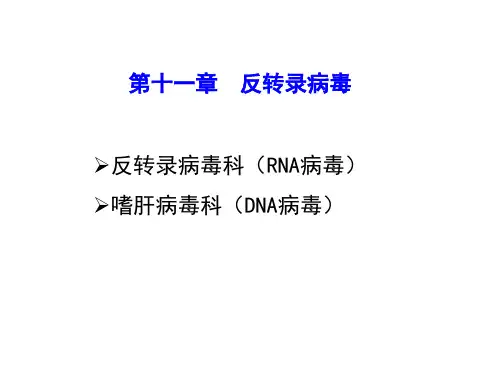 《动物病毒学》课件：第十二章-反转录病毒
