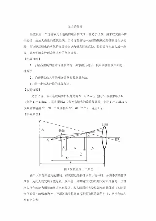 自组显微镜实验报告