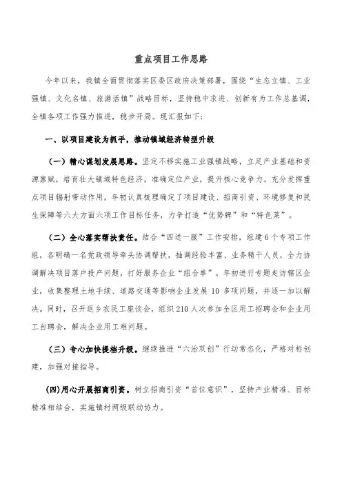 重点项目 工作思路