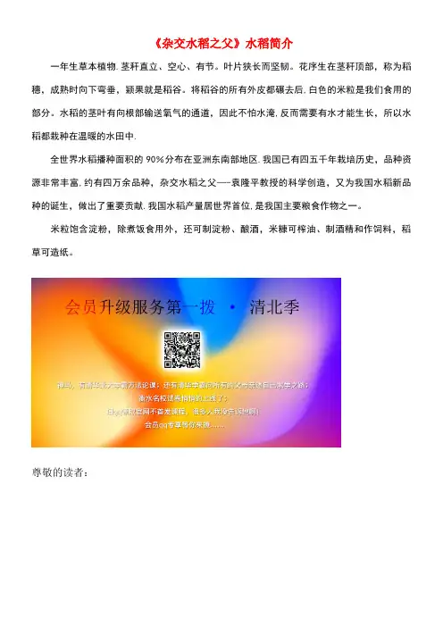 六年级语文上册第一单元3《世界杂交水稻之父》水稻简介北京版(最新整理)