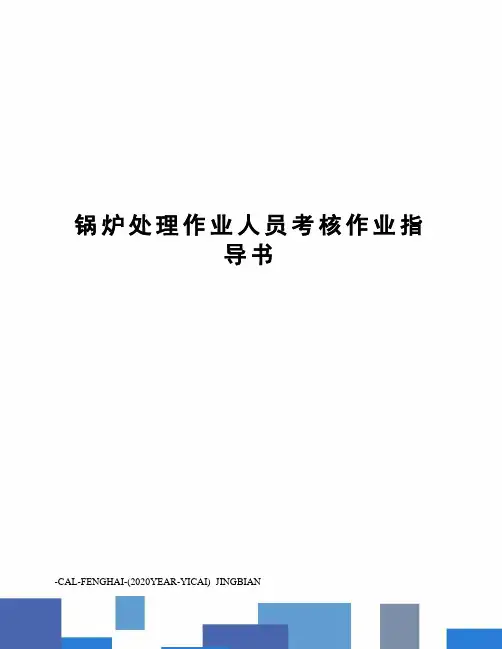 锅炉处理作业人员考核作业指导书