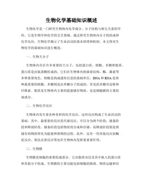 生物化学基础知识概述