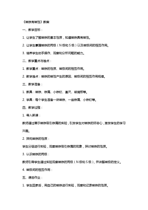 《磁铁有磁性》教案