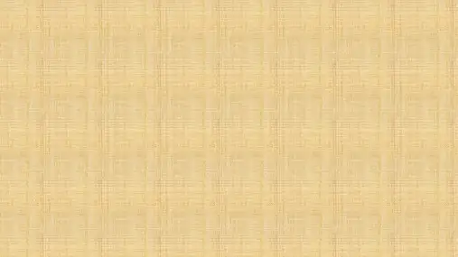 中考物理复习       分子热运动+内能+比热容