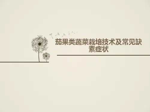 茄果类蔬菜栽培技术