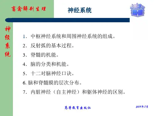 畜禽解剖生理第11章神经系统资料