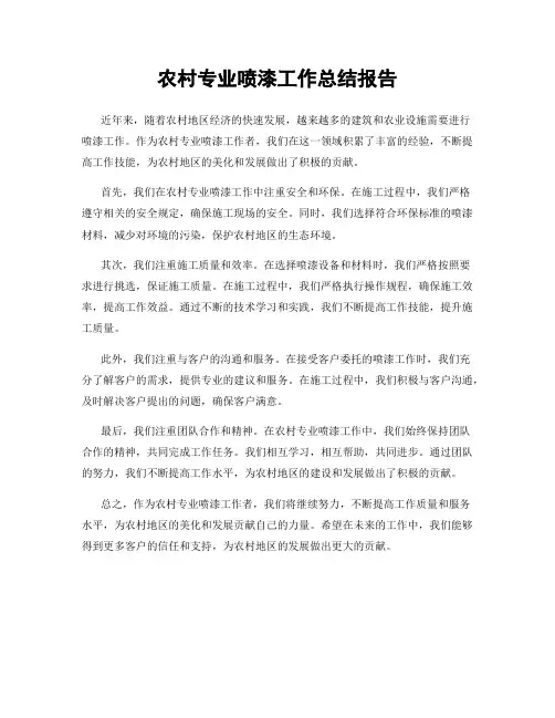 农村专业喷漆工作总结报告