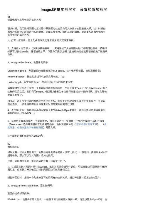 ImageJ测量实际尺寸：设置和添加标尺