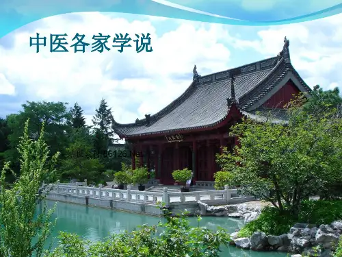 中医各家学说