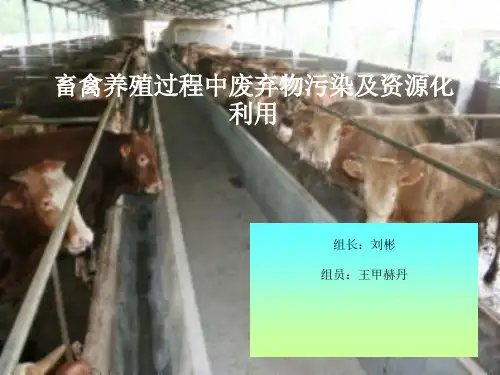 畜禽养殖过程中废弃物污染及资源化利用(ppt 31页)