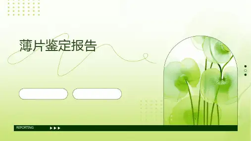 薄片鉴定报告