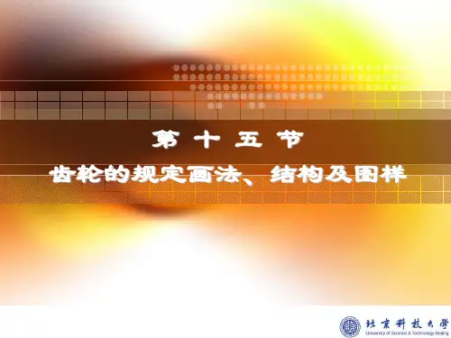齿轮的规定画法,结构及图样