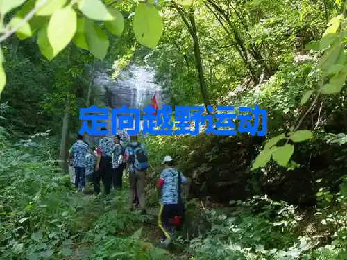 定向运动