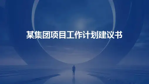 某集团项目工作计划建议书