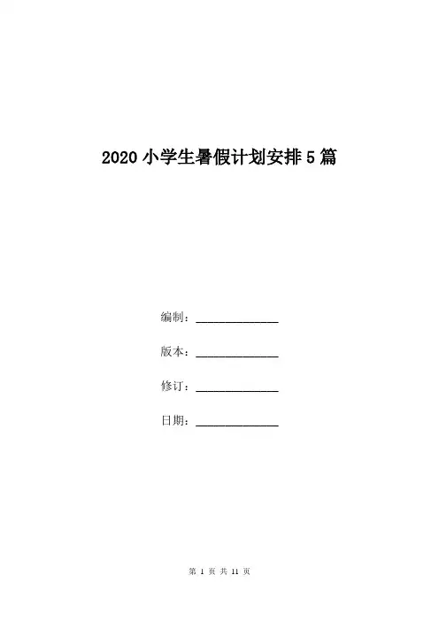 2020小学生暑假计划安排5篇.doc
