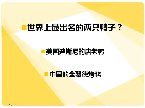 特许可行性报告ppt课件