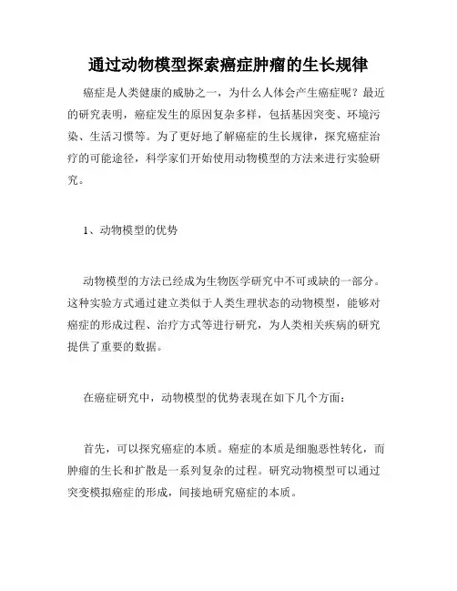 通过动物模型探索癌症肿瘤的生长规律