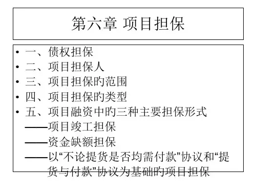 项目担保专题知识讲座