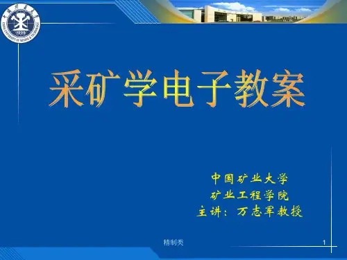 柱式体系采煤法(精制医学)
