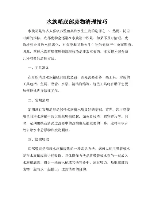 水族箱底部废物清理技巧