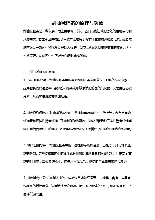 刮油减脂茶的原理与功效