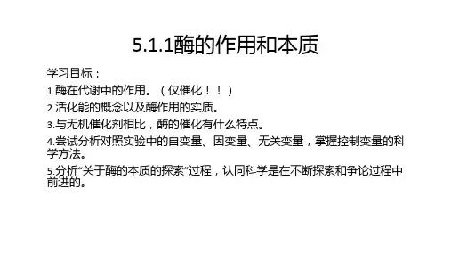 酶的作用和本质 高一上学期生物人教版必修1