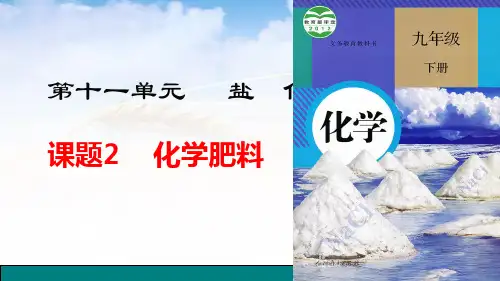 化学肥料ppt九年级化学人教版下册精品课件