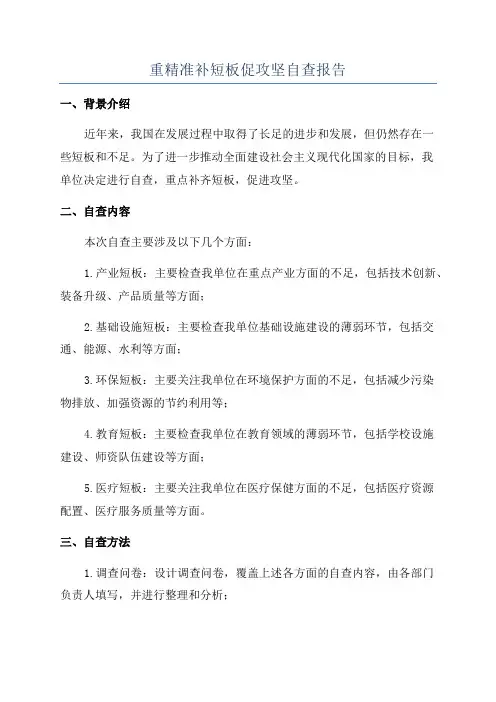 重精准补短板促攻坚自查报告