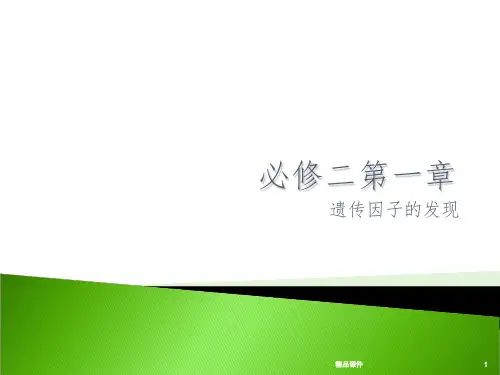 高中生物必修二第一章遗传规律PPT课件