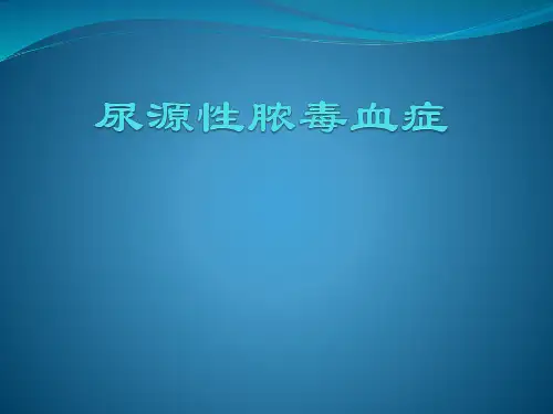 尿脓毒血症