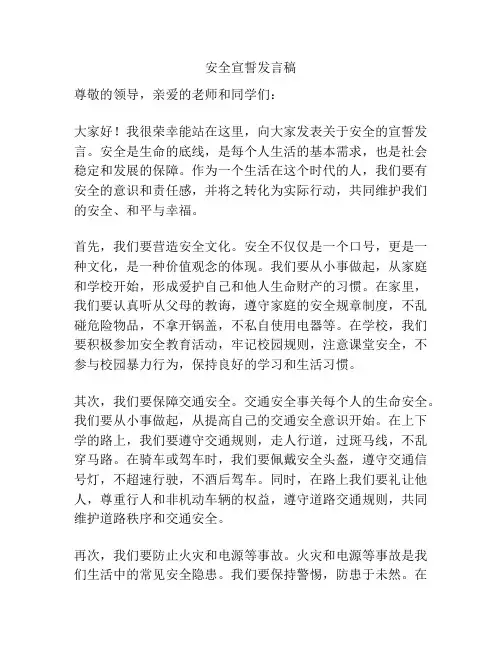 安全宣誓发言稿