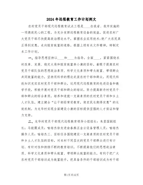 2024年远程教育工作计划例文（五篇）