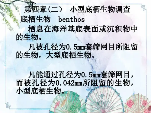 【海洋生物资源调查】第4章(二) 小型底栖生物调查