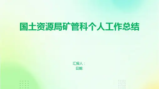 国土资源局矿管科个人工作总结
