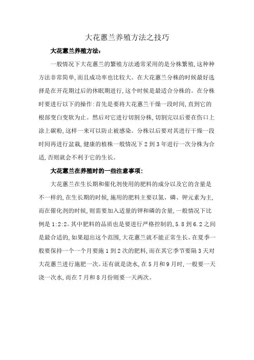 大花蕙兰养殖方法之技巧