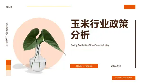 2023-我国玉米行业政策及环境分析