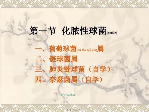 常见病原菌