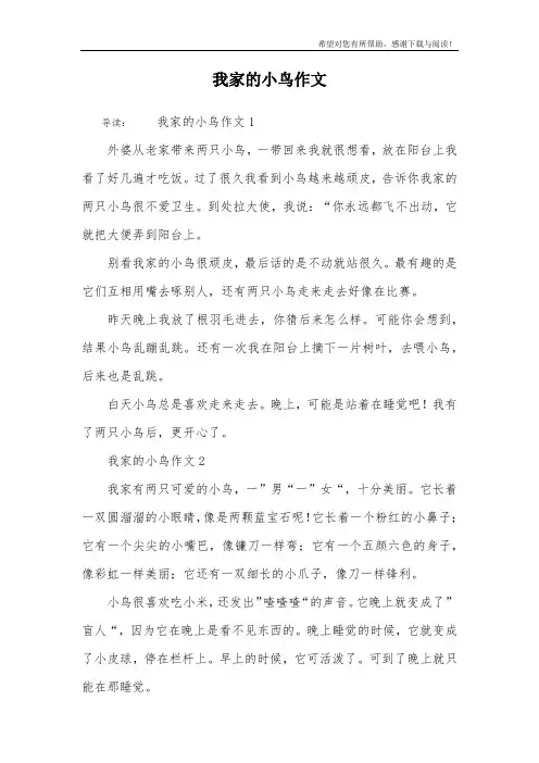 我家的小鸟作文
