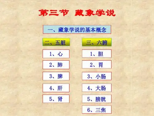 第三节  藏象学说