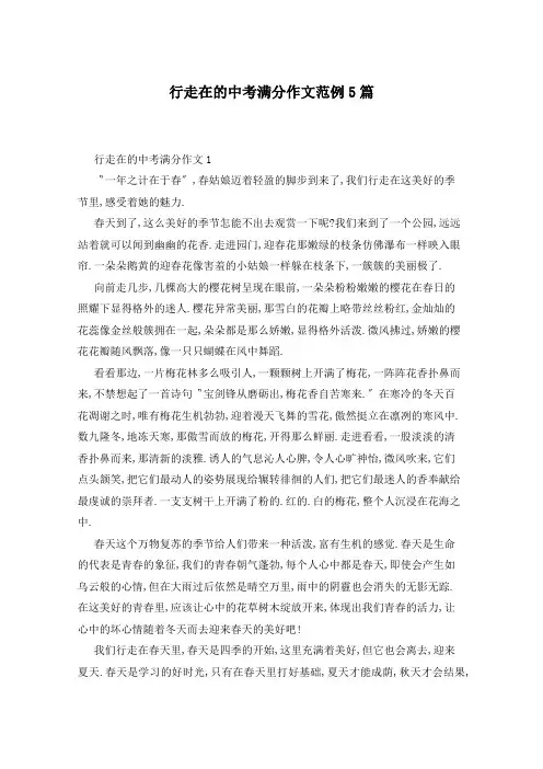 行走在的中考满分作文范例5篇