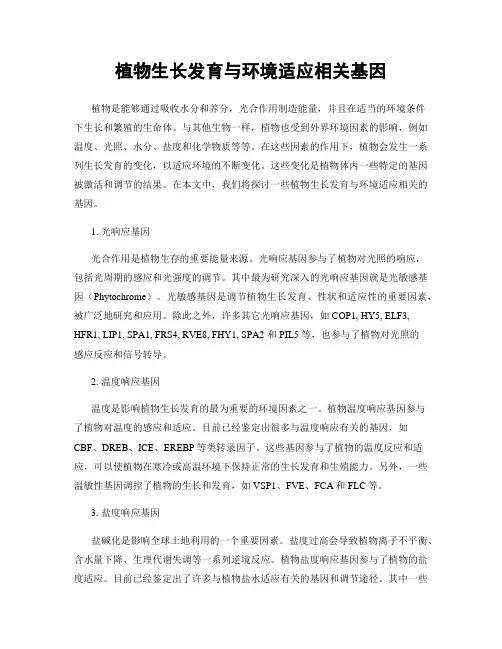 植物生长发育与环境适应相关基因