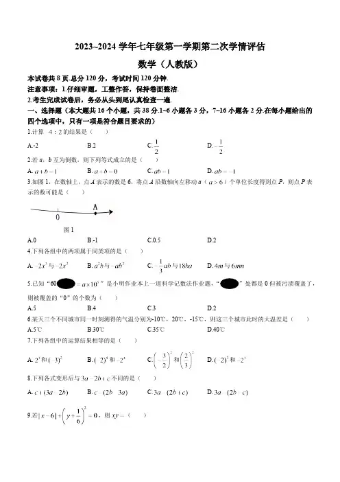 邯郸冀南新区育华实验学校2023-2024学年七年级上学期期中考试数学试卷(含答案)